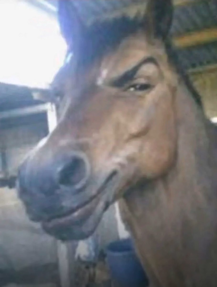 T00mTami's tweet photo. 🐴 ม้าตัวนั้น : ฮรี่ร์~ กร๊อบๆ~ 
(ยังคงละเลียดหญ้าหวานคำเดิม อย่างไม่ทุกข์ร้อน) https://t.co/DRvXKaSzBO