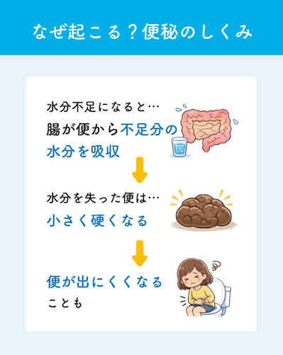 hl_clover01's tweet photo. 便秘解消3ステップ
紹介する3つを同時にする→✕
順番にする→〇
〈水分の摂り方〉
成人：2L/日
ルイボスティーや麦茶、黒豆茶等→〇
コーヒー、紅茶、緑茶、お酒→✕
〈飲み方〉
水筒or500mlのペットボトルを4本準備
・朝→200〜400ml飲む
・30分おきに飲む
#夏バテ
#脱水
#水分不足
#腸活 https://t.co/jZjt2felDh