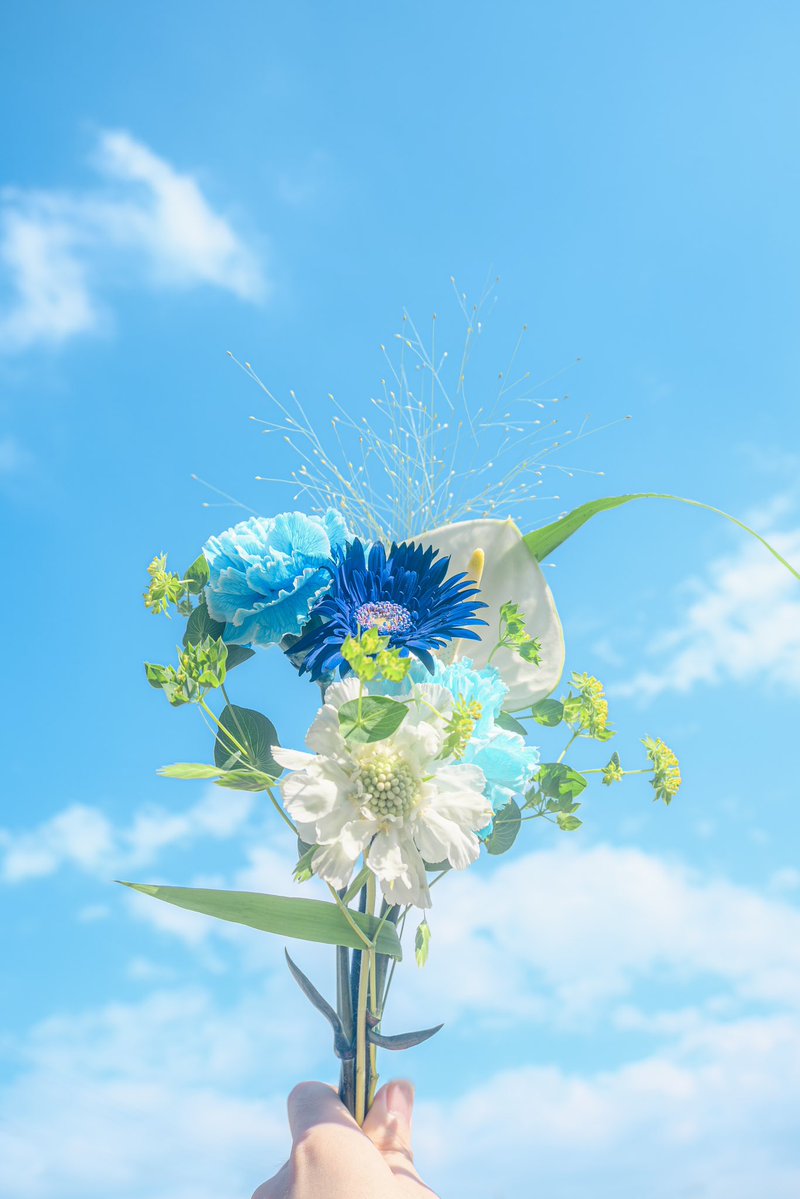 Noah_photobook's tweet photo. 青い花が好きなあなたへ。 https://t.co/LZpPu5liaT