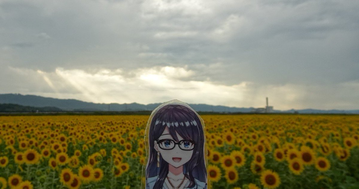 heppo586's tweet photo. もしかして、と思ったけど、涙は出なかった。まだ実感が沸かないのかな。

#一色百景 https://t.co/qPU42Kqkm0