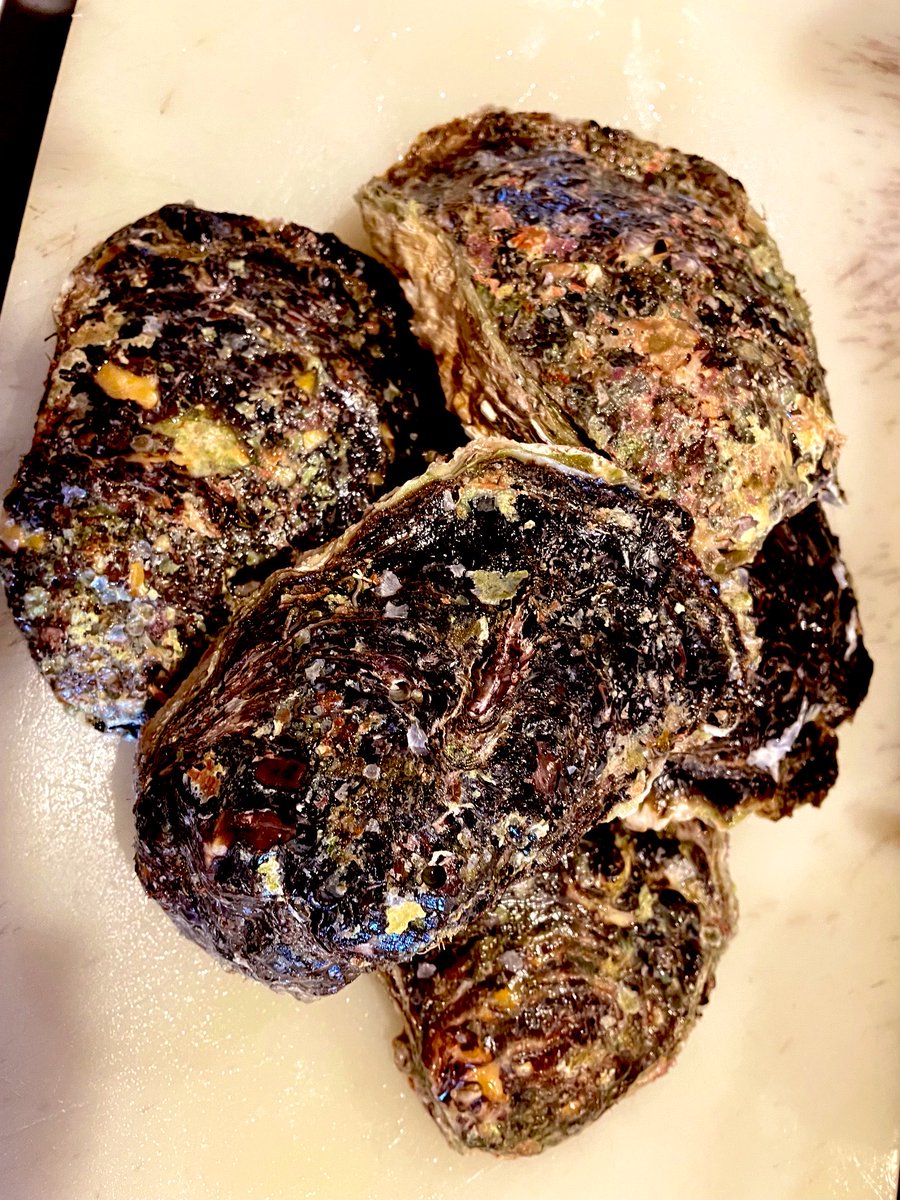 Tono_kitchen's tweet photo. こんばんは
お魚メニューのご案内です📢
カンパチ、アワビ、いわし、生だこ、岩牡蠣、あります。
ぜひお刺身でお召し上がりください✨ https://t.co/Mur9r6mBag
