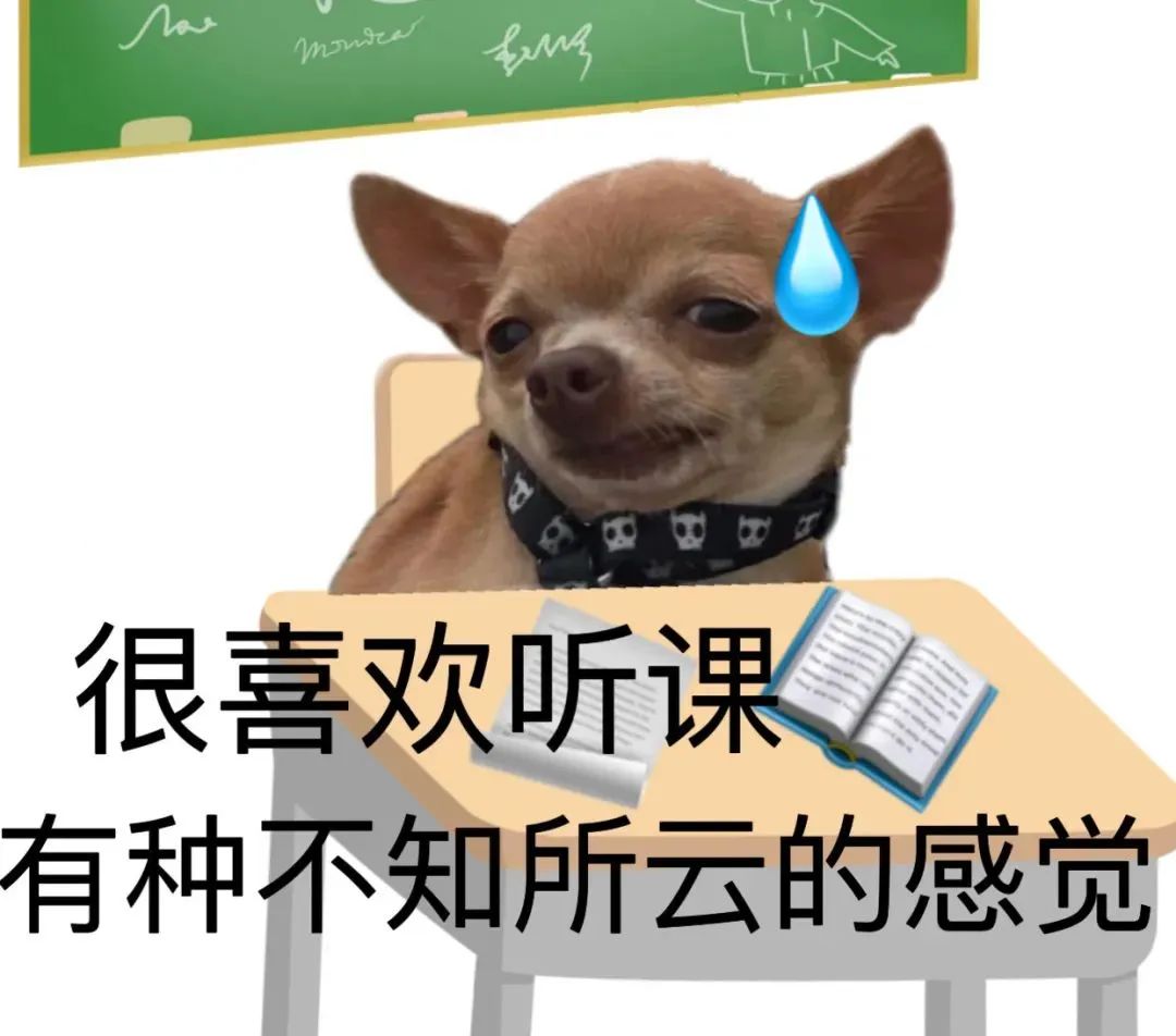 kuzovlevae's tweet photo. When the classroom smart projector glitched mid-presentation and started playing 90s cat memes instead of my project… turns out the whole class is way more into the memes than my stats. (100% unplanned A+ for engagement) https://t.co/ILU685ztbM