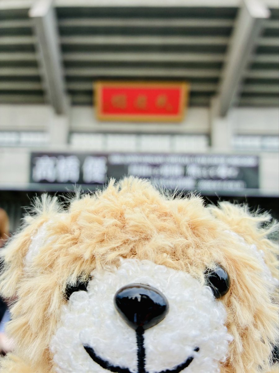 hicora's tweet photo. 本日の現場〰️！！
たっのしみだけどマジでカンニング相手のいない席だから謎の緊張
#自優悟奏武道館 https://t.co/DXk52Vnwis