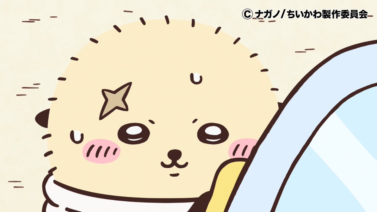 anime_chiikawa's tweet photo. 【✨1週間限定見逃し配信中✨】

第365話「洗車／パンフレット」

ちいかわとハチワレ、洗車するラッコに遭遇！／ラッコ、新型車のパンフレットに夢中！

▼YouTube
https://t.co/XMKmrhPLow

▼TVer
https://t.co/1BMGNtotE4 

#ちいかわ
#アニメちいかわ https://t.co/2Ft7qSJwfF