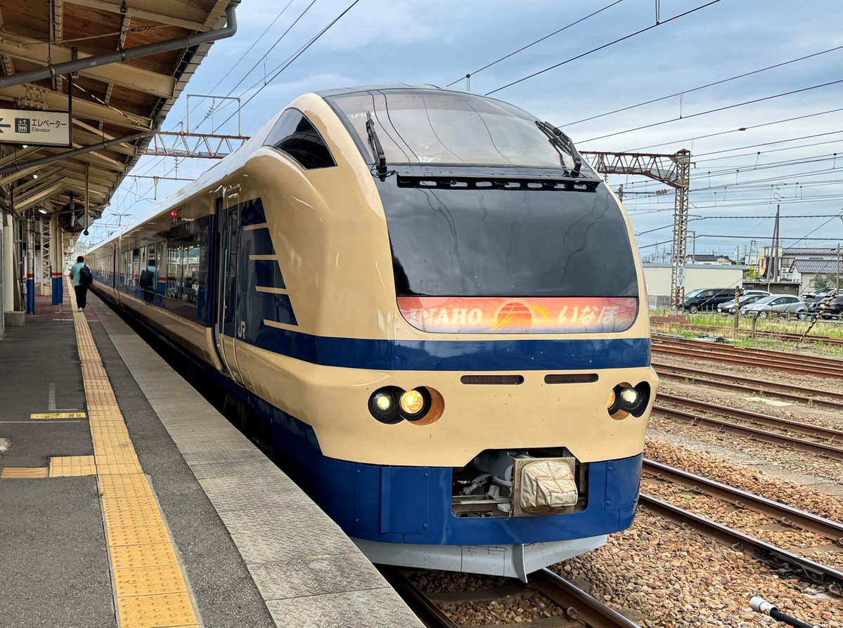 JREniigata's tweet photo. 📢E653系「583系色」運転日公開！
7/18(土)にデビューしたE653系「583系色」。
夏の日差しの中、日本海や鳥海山を望む「特急いなほ」で活躍中です🌾🌾✨
オリジナル色、瑠璃色、ハマナス色、上沼垂色に続く新たなラインナップ。

山形庄内夏の観光キャンペーン開催期間中（9月末まで）の、583系色で運転する特急「いなほ」の運転日を特別公開します！
今回は8月分！ご旅行の計画にぜひお役立てください🧳

▾運転日はこちら！
https://t.co/DrsVhFcbWp