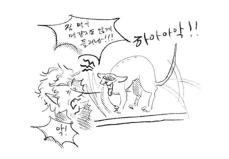 tultultoltol's tweet photo. 폐하에게 혼나는 뱀파이어

폐하: 짐 말이 말 같지도 않게 들리나!!!! https://t.co/7fkvXoAGLo