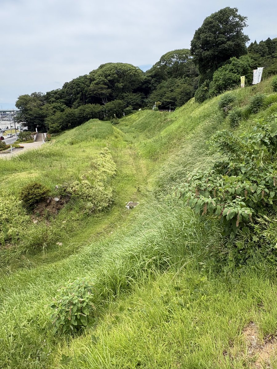 kotetsu_758's tweet photo. 小牧山城に登城‼️

🥵移動は最小限😓

大��道

主郭の石垣

土塁

御城印 https://t.co/E1O9dIePD7