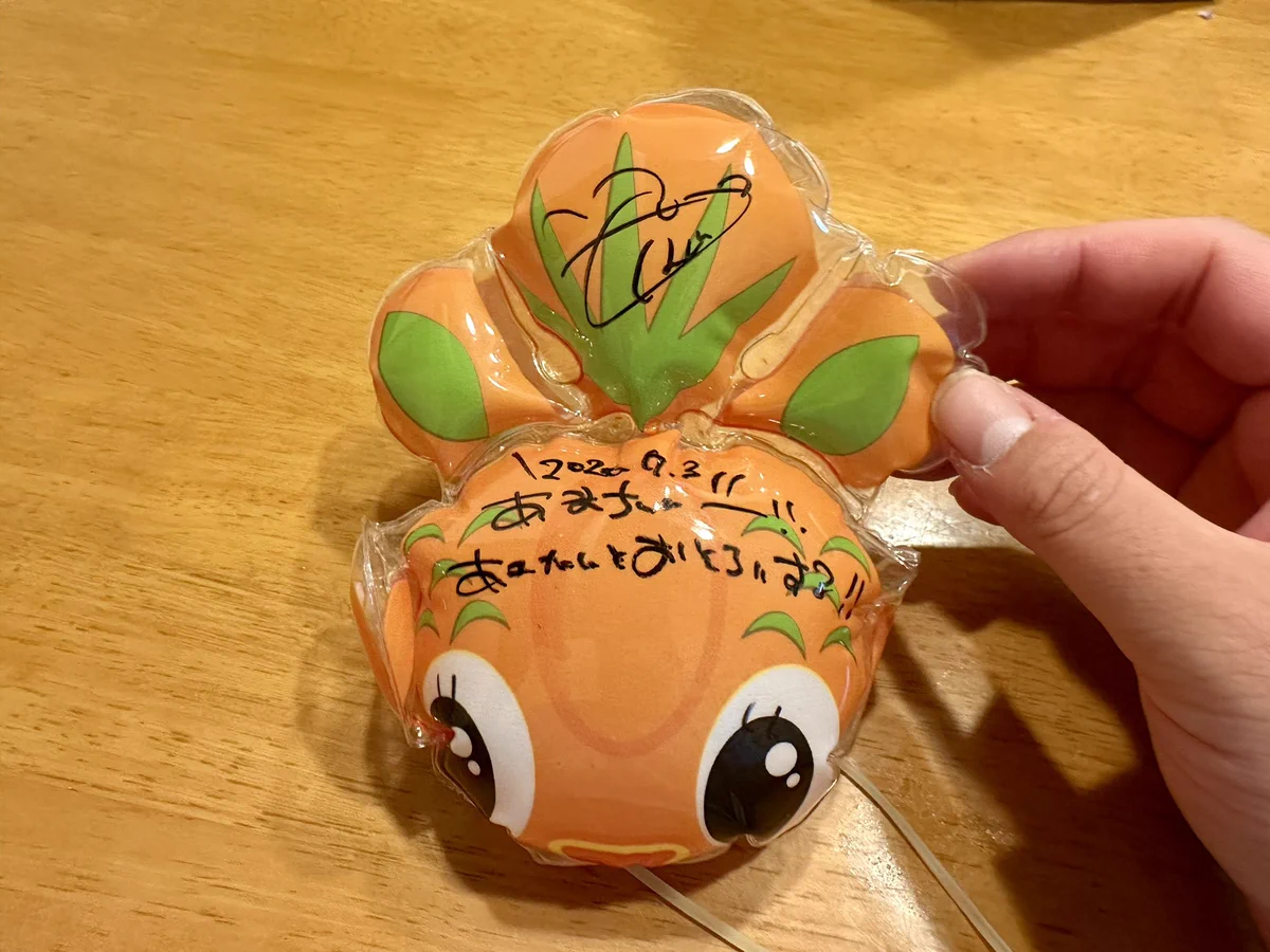 あんこ様の2点おまとめですサーモンオレンジ色と黄緑色の被布2点 あまちゃん on X: 