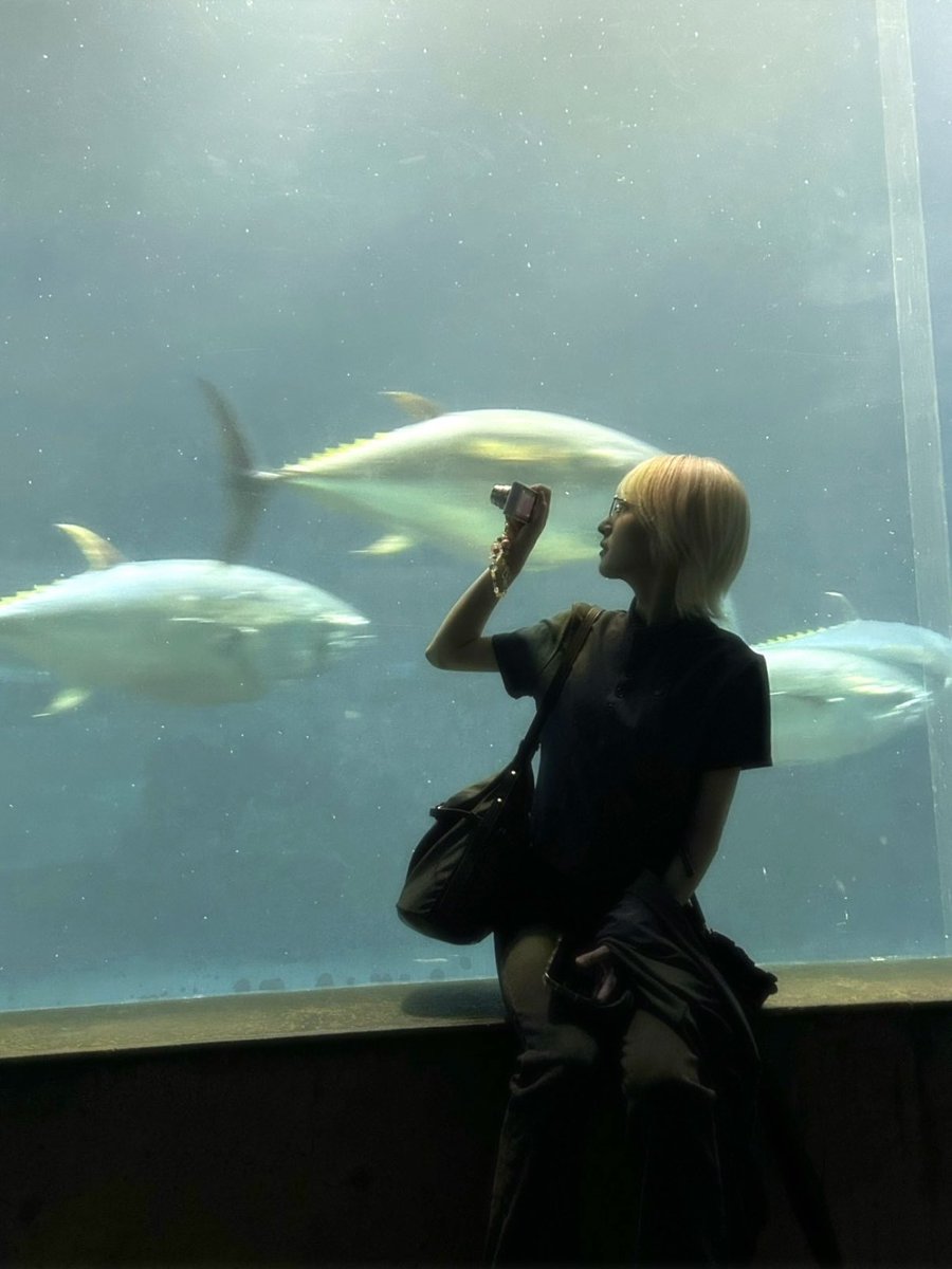 luca_x0097's tweet photo. 水族館🐟 https://t.co/DdUV3dlKdb