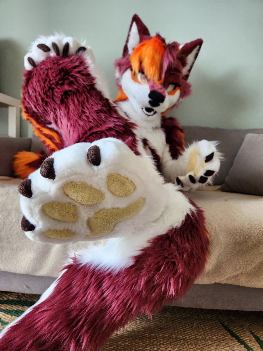 prerayd's tweet photo. Mind if I rest my paws next to you?

🪡: @HybridLFursuits 
📸: @YSolarium 

#FursuitFriday https://t.co/kxJy7DjWnh