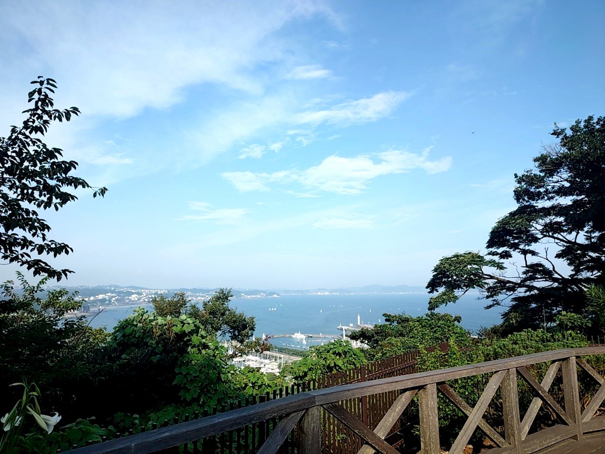 krkr_IwithA's tweet photo. たかっくんのかわりに湘南の海見てきたよ🌻(？)
ひぐらしが鳴いてて景色が綺麗でめっちゃ夏満喫した☺️🎐 https://t.co/SVd7drvJSX