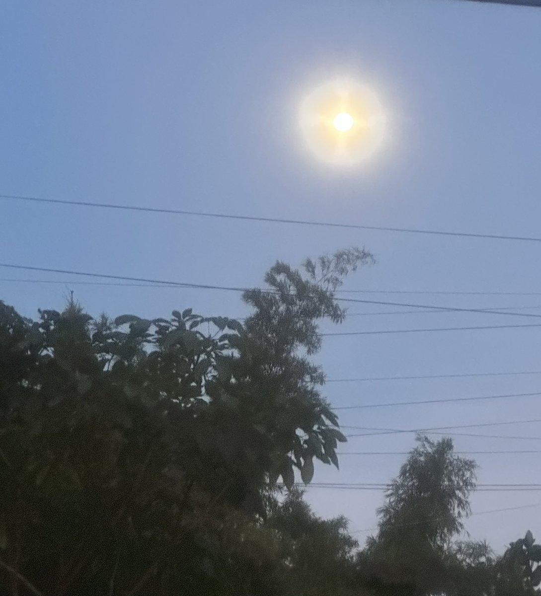 Usuario2064's tweet photo. Hoy por la mañana la Luna estaba hermosísima!! 🫶😍🌝🌙🌕
#ViernesalFin https://t.co/bttlrnAZvy