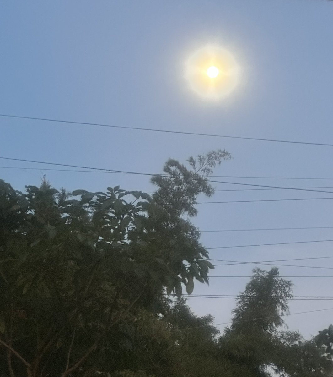 Usuario2064's tweet photo. Hoy por la mañana la Luna estaba hermosísima!! 🫶😍🌝🌙🌕
#ViernesalFin https://t.co/bttlrnAZvy