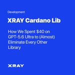 Photo by XRAY/Network (@xray_network)