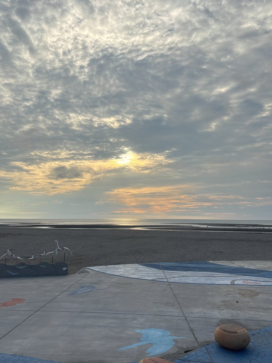 xin920111's tweet photo. 下午帶ㄚ寶去大安海水浴場踏浪
不怕了，就開始亂跑，差點抓不回來

上車前喝太多水，快到目的地的時候很焦躁
想說應該沒怎樣吧，結果開始噓噓…
人在無語的時候真的會笑出來

來不及崩潰，悲極生樂
還好褲子穿黑色的
還好尿的時候在滑手機…………🫠 https://t.co/ULlFzg51eC