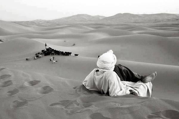 نواف tweet media