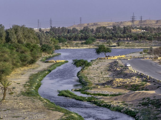 thekingdom_ksa's tweet photo. وادي حنيفة.. أحد أجمل المتنفسات الطبيعية في الرياض.🌿🌳
تصوير : @aliphotos_ https://t.co/ohgj13CsUS