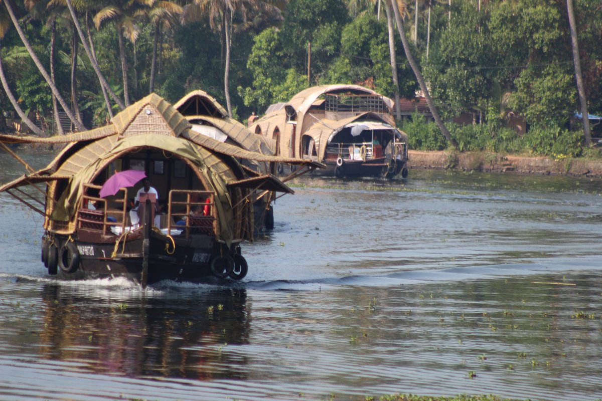 Flasheadinho's tweet photo. "Lo que comenzó como un paseo resistido en silencio, por una ciudad sin grandes encantos y con un grupo lleno de dudas, terminó convirtiéndose en uno de los puntos más altos del viaje"

#Kerala #India #Backwaters #RíoPamba #LibroDeViajes #CrónicaDeViaje #IndiaTravel #Viajeros https://t.co/8Yu7IfEJvP