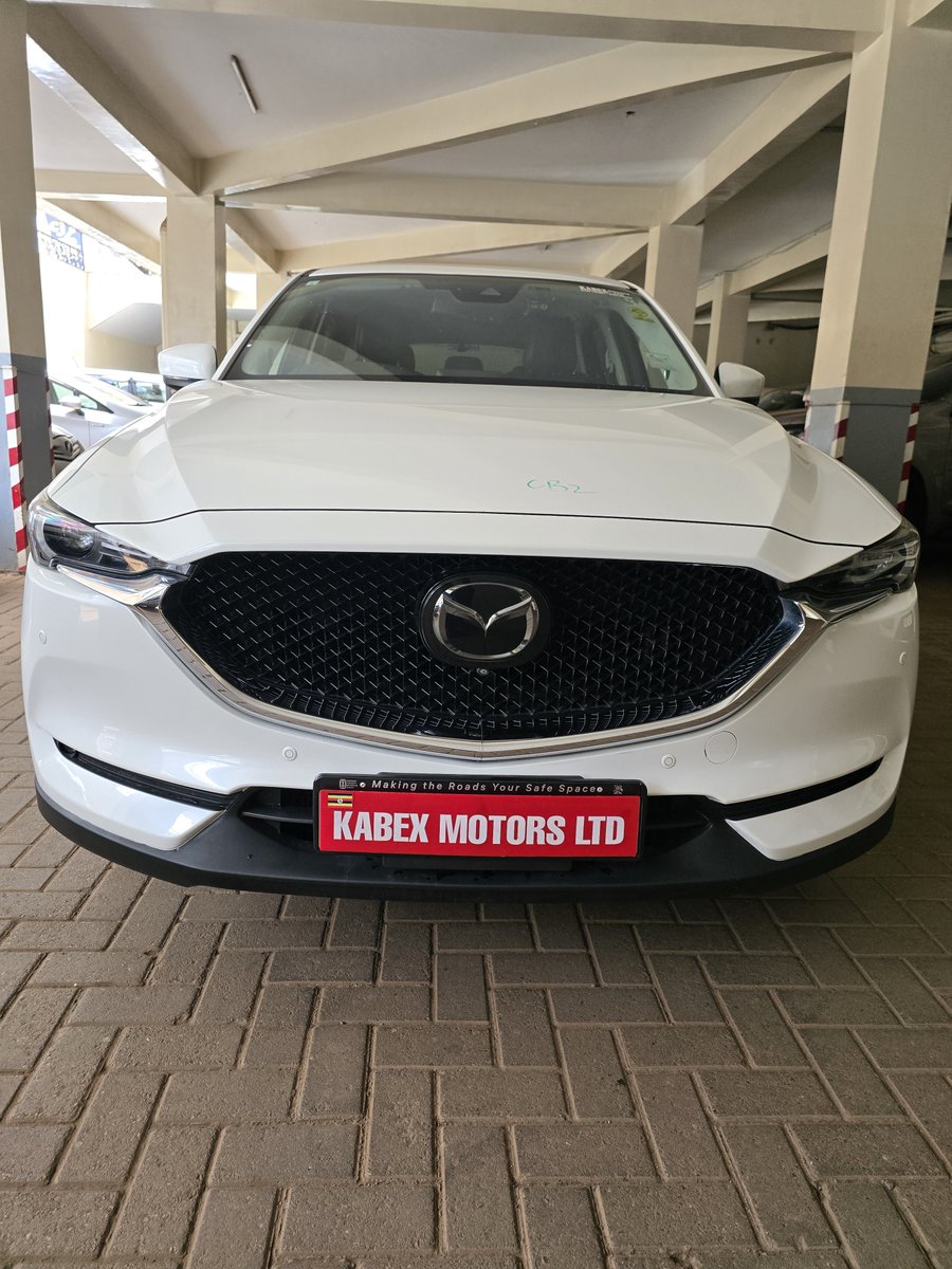 KabexMotorsLtd's tweet photo. Today, we're delighted to receive another batch of vehicles from Japan. All thanks to our committed clients who continue to trust Kabex Motors Ltd. 🙏🙏🤝
And guess what? 
You could be the next one. 

📩 DM us and let's get your dream car moving.
#KabexMotorsLtd #JapanToUganda https://t.co/evJWvmpaAG