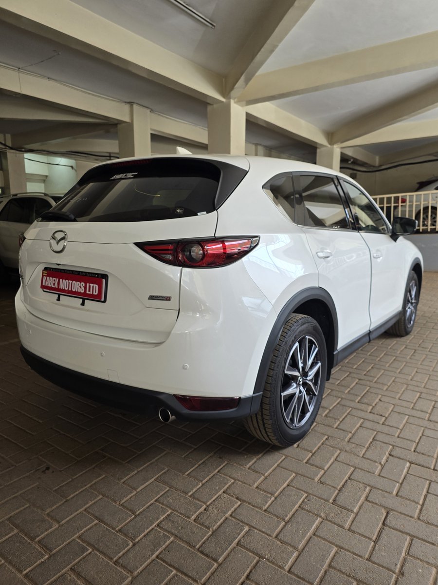 KabexMotorsLtd's tweet photo. Today, we're delighted to receive another batch of vehicles from Japan. All thanks to our committed clients who continue to trust Kabex Motors Ltd. 🙏🙏🤝
And guess what? 
You could be the next one. 

📩 DM us and let's get your dream car moving.
#KabexMotorsLtd #JapanToUganda https://t.co/evJWvmpaAG