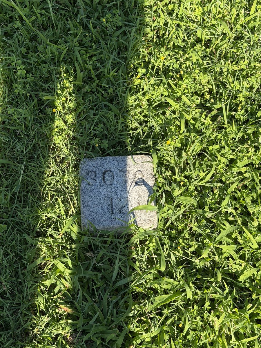 JacksonCHanson's tweet photo. Lot 3078, 12 bodies…

“No impious footstep here may tread,

The herbage of your grave” https://t.co/WPbKLYdlt0
