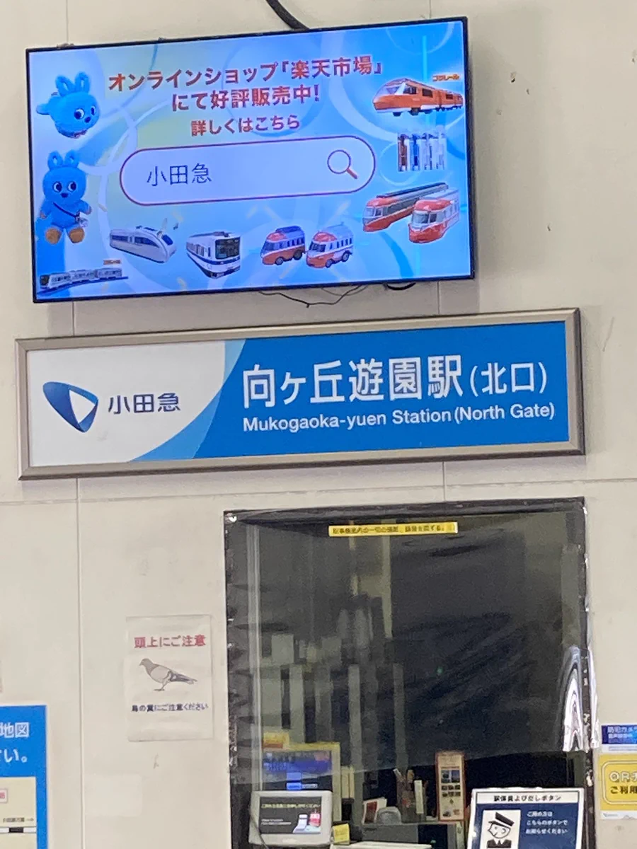 橋本 真弓🎏♨️🍜🐴🚘 on X: 