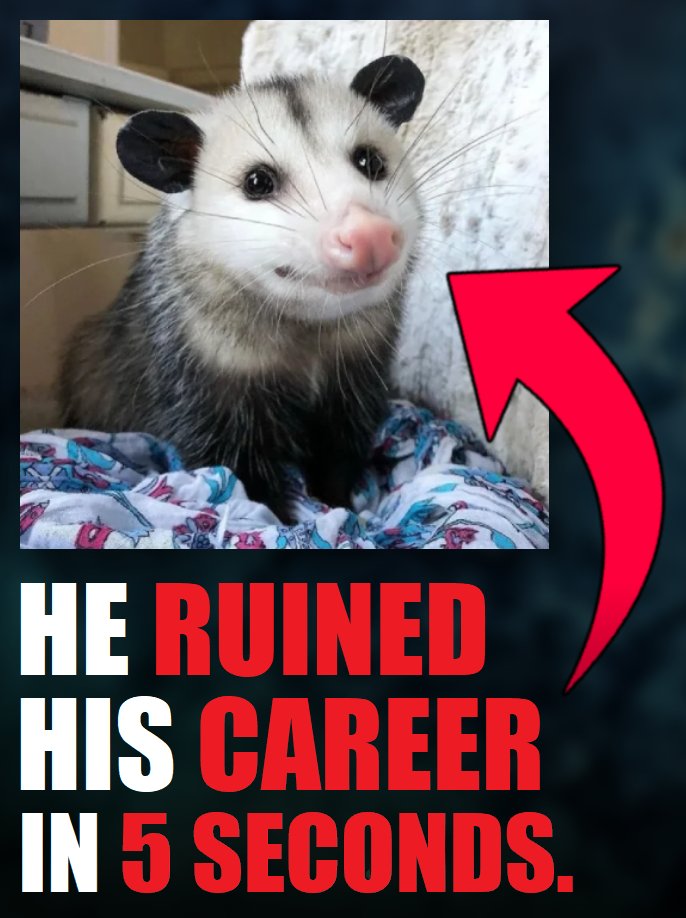 zaripossum's tweet photo. https://t.co/QGbXZpLjea