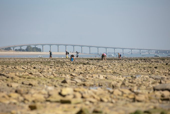 Image de l'actu de Département de la Charente-Maritime