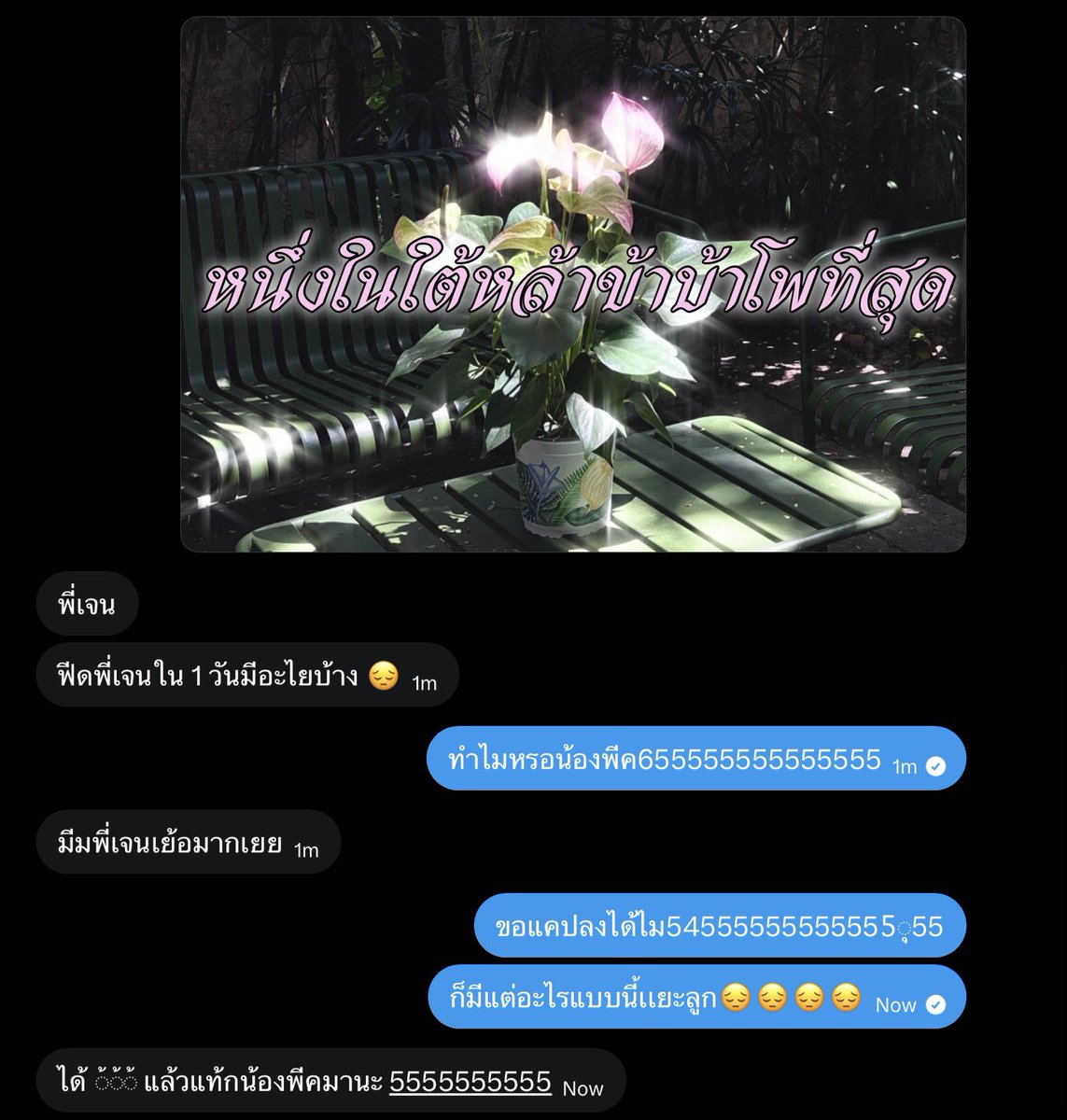ac9Mar's tweet photo. กุตราย54555555555545555&amp;555677568565555555555127
เป็นคนชอบเติมมีมด้วยดิ😔🫡 @peakjangg https://t.co/LN28RUfCX3