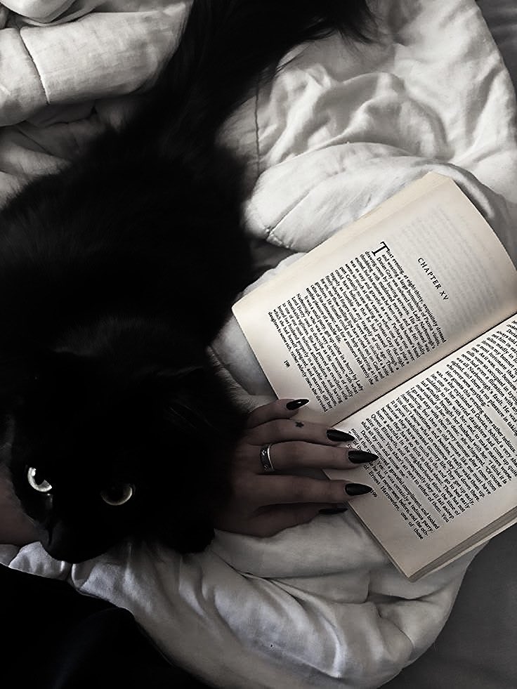 N0IIRBELLE's tweet photo. ⠀⠀⠀
 ⠀⠀𝑀y little Peaches is always by my
⠀⠀side too, weaving between my legs 
⠀⠀and seeking affection in the morning
⠀⠀her black fur against white sheets.
⠀⠀⠀ ⠀⠀⠀ ⠀⠀⠀ ⠀   ⠀⠀⠀ ⠀⠀⠀ ⠀⠀⠀ ⠀⠀⠀𓏲ּ𝄢 https://t.co/VZ1RxlYMH1