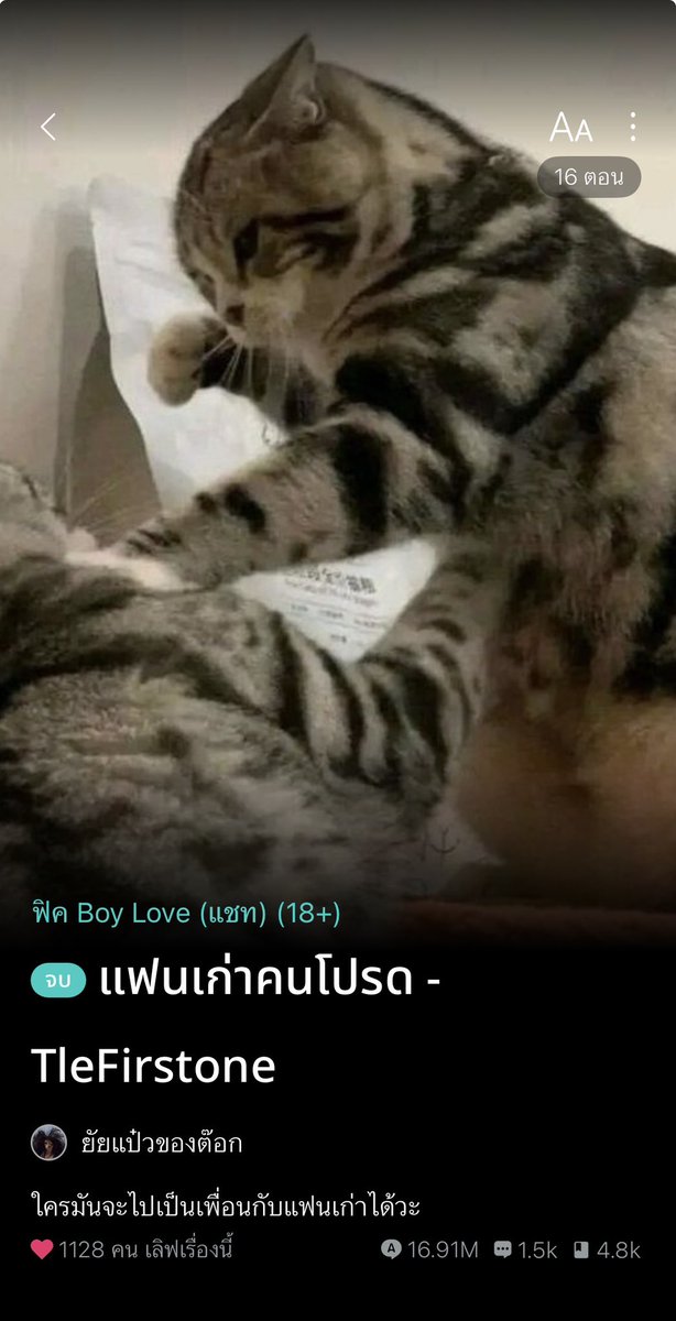 Jarr04586's tweet photo. ฟิคฮีลใจป้าฝนวันนี้ 💕

พระเอกธงเขียวไปป่ะ💚  จะไปหาพี่โปรดคนที่ 2 เจอจากที่ไหน ((ถ้าไม่ใช่เติ้ลเฟิร์สวัน🤭)) 

(( แฟนที่ดีคือ …แฟนเก่าจ๊ะ5555 ))

ยิ้มทั้งเกือบทั้งเรื่องเลย  แต่แอบมีน้ำตาซีนพี่น้องอ่ะ  พี่ชายรักน้องชายมากๆเลยแหละ ((ป้าซึ้ง🥹👏)) 

ไรท์เตอร์เขียนดีมาก วันไหนที่อารมณ์ไม่ดี แนะนำนามปากกานี้เลย คลายเครียดแทบทุกเรื่อง 🫶🫶🫶👏👏👏 

📌   https://t.co/SJspYiCA8G

#มุมหนังสือติดฝน