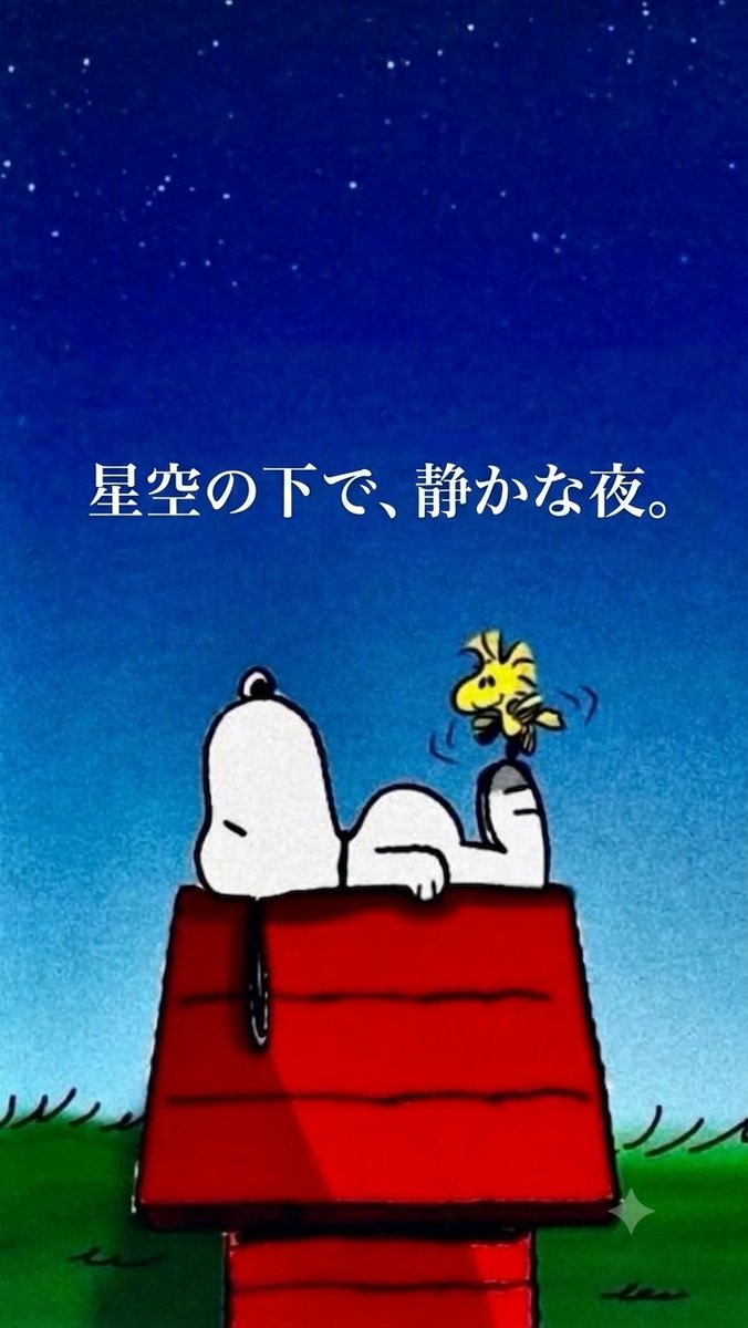 Kiko_ikok's tweet photo. スヌーピーとウッドストック、静かな夜に願いを https://t.co/vMyxS7SEDy