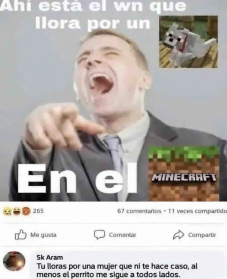 xPodri tweet media