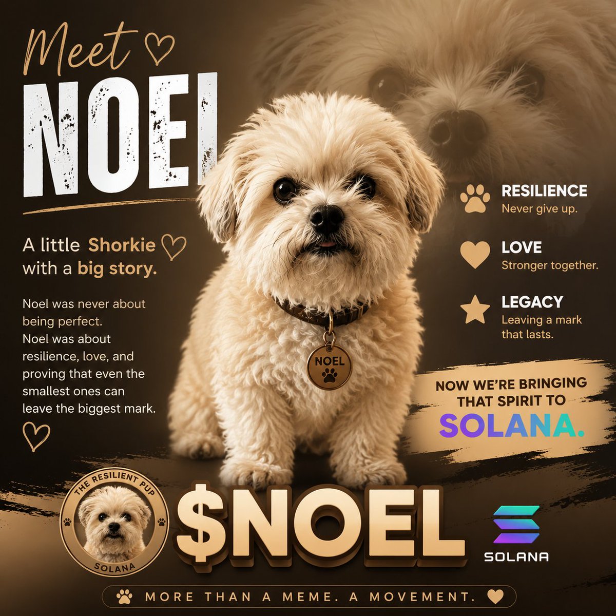 Noelcoinn's tweet photo. 🐾 Meet Noel.

A little Shorkie with a big story.

Noel was never about being perfect. Noel was about resilience, love, and proving that even the smallest ones can leave the biggest mark. ❤️

Now we’re bringing that spirit to Solana.

Welcome to the journey. 🚀

$NOEL 🐶 https://t.co/LqQmDlMeDL