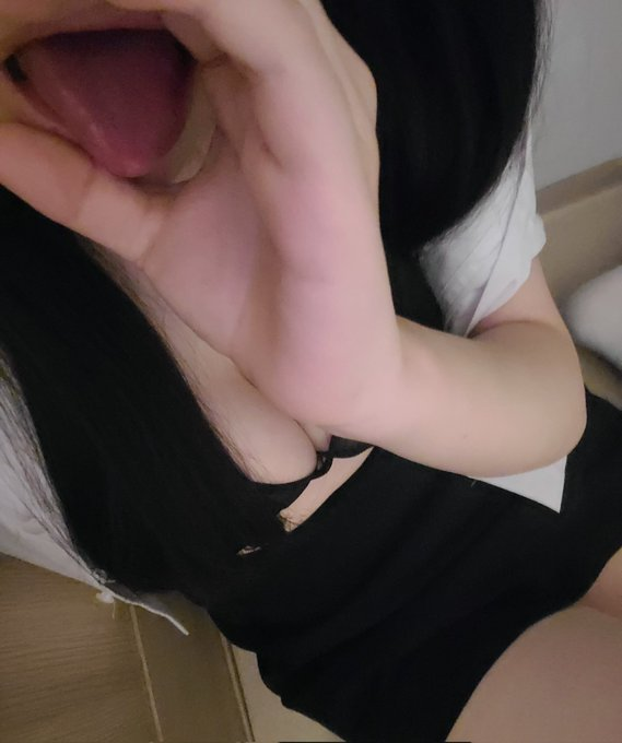게으른 고양이 tweet media