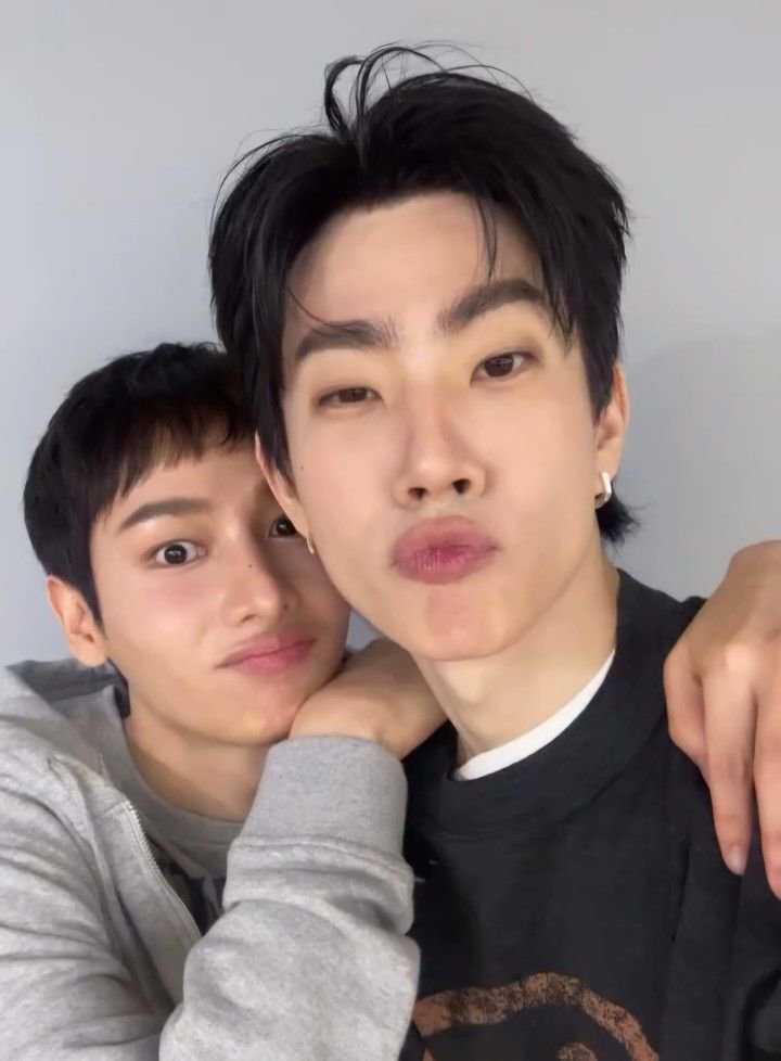 gunnieluvr's tweet photo. bring them home to me pls :( https://t.co/1hl5S1tK3T