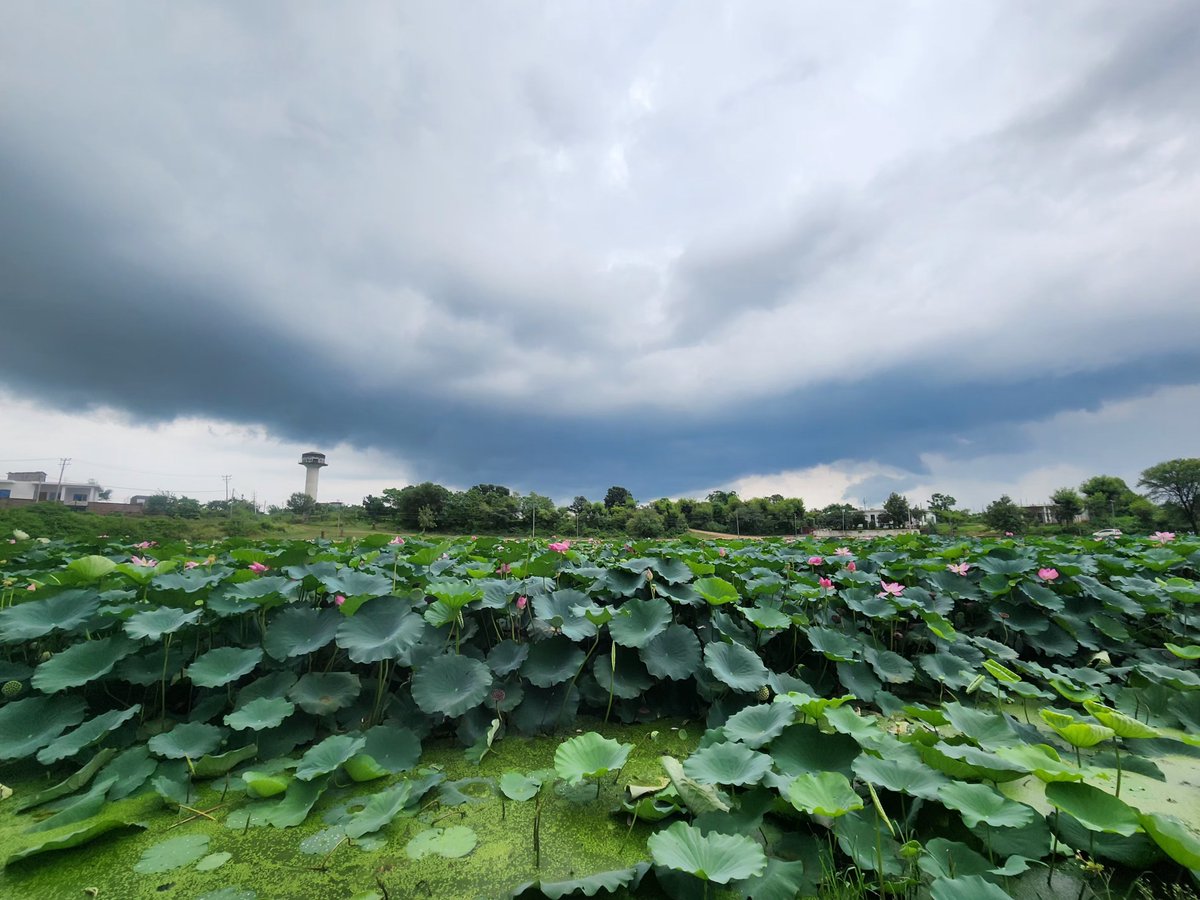 sanjeevch73's tweet photo. Monsoon Magic 
#theme_india_pic_monsoon https://t.co/jCa7JYkJnz