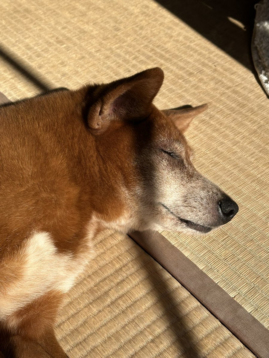 Makoto20180923's tweet photo. 28日か29日に車の中から見た情報でも
嬉しいのでどうかお願いします🙏 https://t.co/BWl2xTFdmI