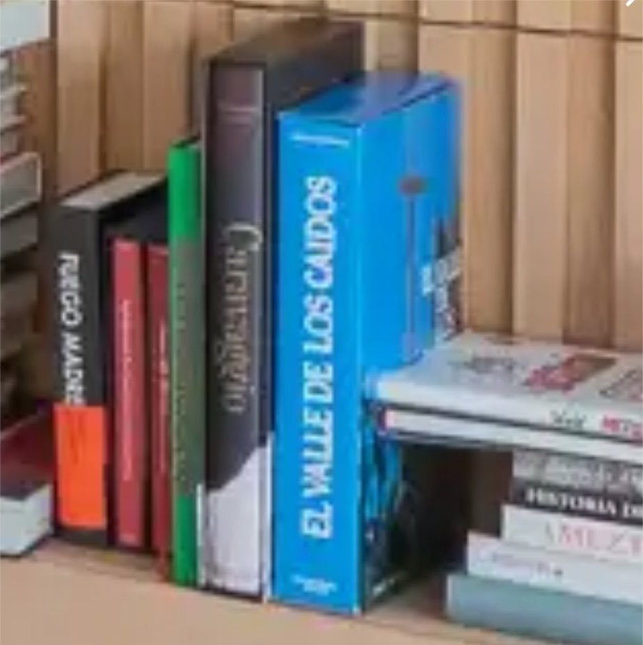 RubenSanchezTW's tweet photo. El libro sobre el Valle de los Caídos que tienen Ayuso y González Amador en su vivienda de lujo en venta lo editó en 1982 esa piara de fascistas al borde de la ilegalización llamada Fundación Nacional Francisco Franco. https://t.co/vyNFoLOoil