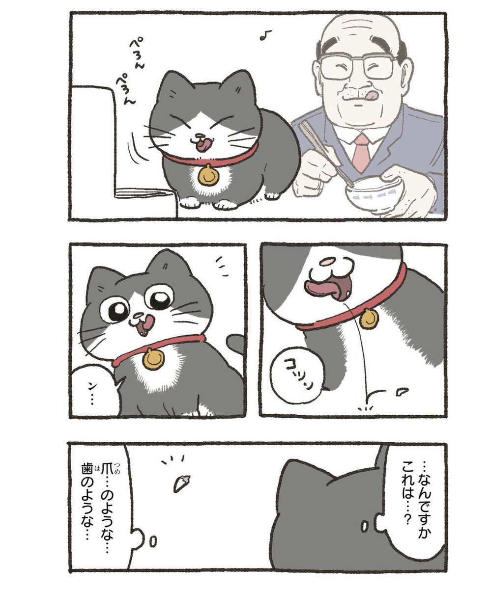 プンちゃんの落としもの。 ねこおじ再放送🐱 1/2