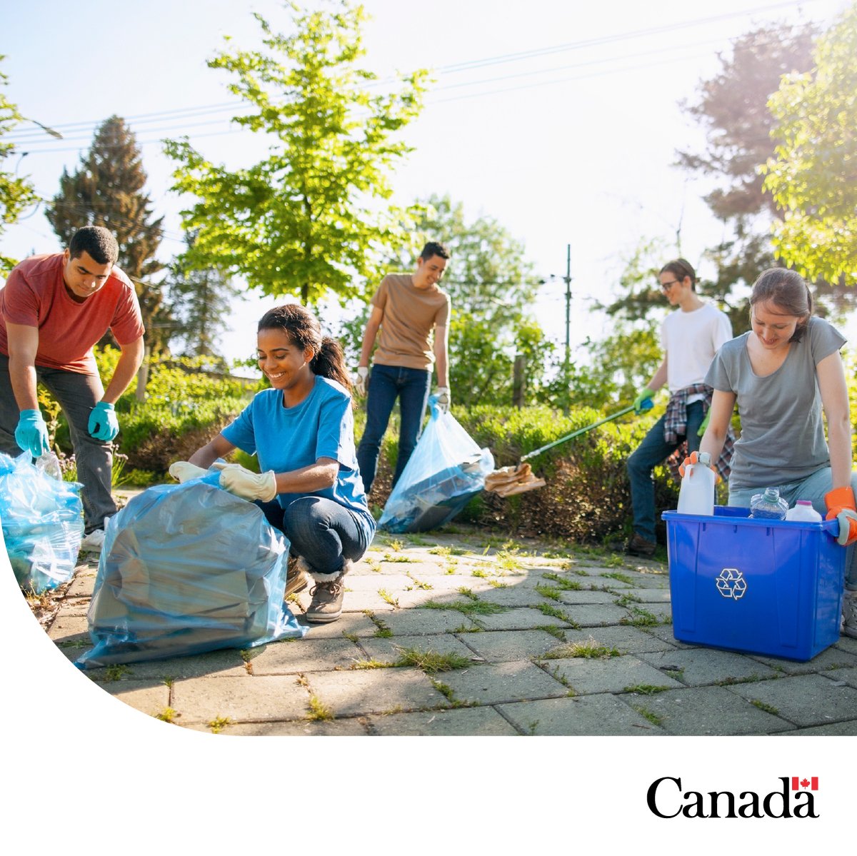 environmentca's tweet photo. As #PlasticFreeJuly comes to an end, we’d like to thank everyone who took small (and big!) steps to help #BeatPlasticPollution.
What worked for you? Share one thing you’ve changed below. 👇
For more ideas: https://t.co/7QYy7BtwyN https://t.co/xONCJ8lRdi