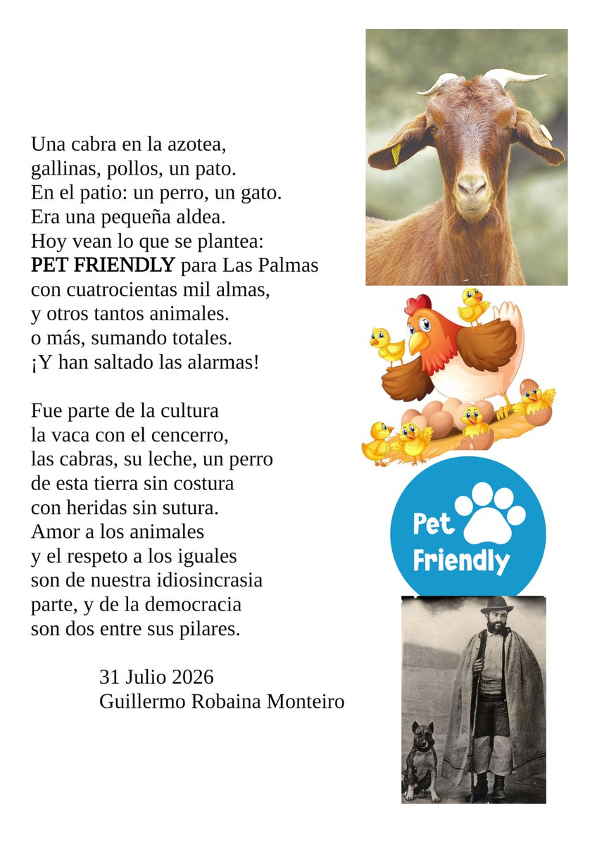 GROBMONTEIRO's tweet photo. PET FRIENDLY TOWN. https://t.co/OCVvEl9xJB