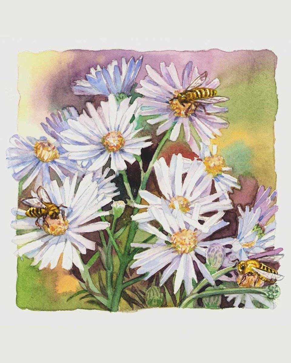 morgangaynin's tweet photo. Closing out July with beautiful scenic watercolors by Bradley Clark 🌸 Illustrated for Atlanta Magazine about Harrison Park in Georgia. 

See more of Bradley's work here:
https://t.co/ojEUANc9vc 

And have a lovely summer weekend! https://t.co/Ppp7EwvWlK