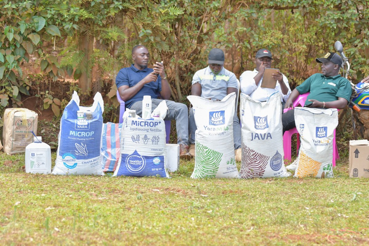 AFAPPartnership's tweet photo. AFAP Kenya is conducting an on-farm field day in Kitale, Trans-Nzoia County, under its Trade Credit Guarantee programme. The activity combines practical farmer learning with engagement across the agricultural input value chain. #AFAP #KenyaAgriculture #TransNzoia https://t.co/7cUOeiC6KE