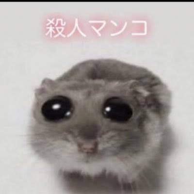 Kitty__SR's tweet photo. @ubqqz https://t.co/Hwma5ugL5D