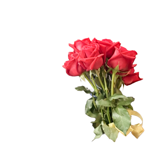 Wiwatcharakul's tweet photo. อัพเดทเซิร์ฟหน่อยวัยรุ่น 🌹
ผู้หญิงสวยๆนั้น มันควรจะอยู่กับผู้ชายที่น่ารัก ๆ อย่างเราไม่ใช่หรือ🙂‍↔️🤟🏻
 
#แจกpng #แจกไฟล์png https://t.co/s80TiK1Aic