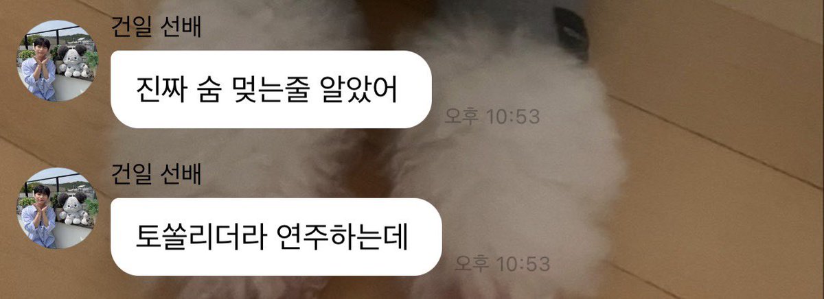 myfaveones's tweet photo. 저는ㅈㅈ하게진짜토를할뻔햇으며.. 첫펜타ㄴㅁㄴㅁ행보케🥺🥺🧡🧡 https://t.co/7oEkwFEiJX