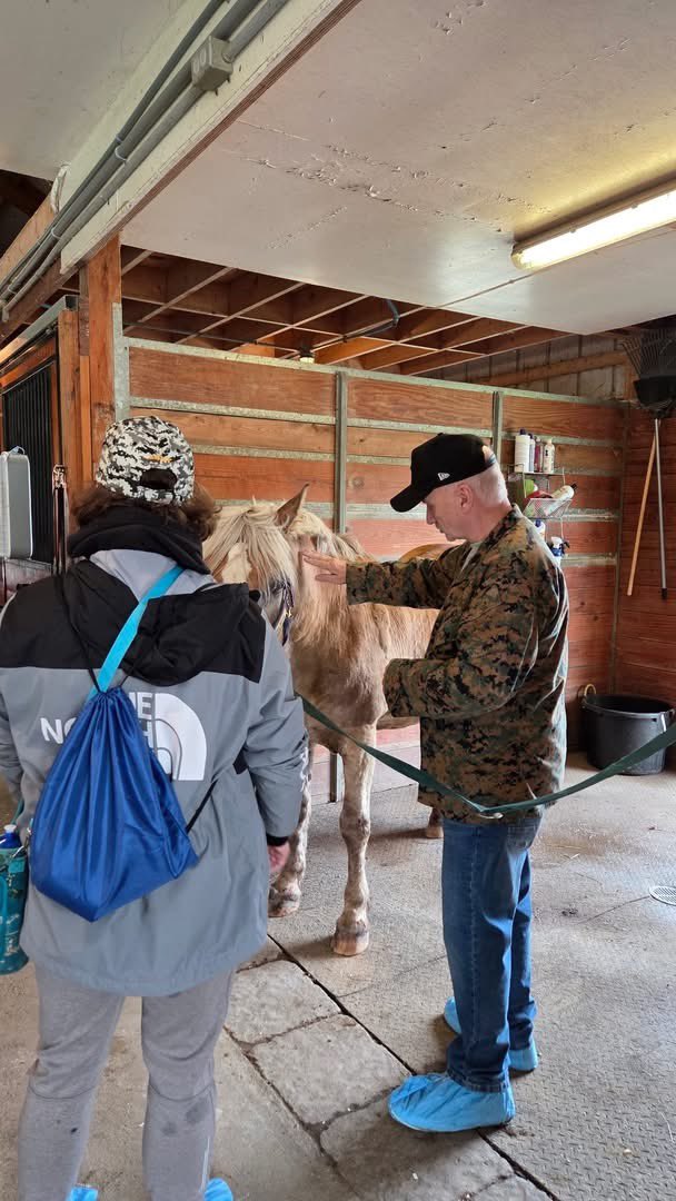 MCCoyCountyExec's tweet photo. Yesterday, my Director of the Albany County Veterans Service Bureau, Scott Leslie, participated in a Veterans equine-assisted learning program at the Albany Therapeutic Riding Center alongside staff from the Albany VA Medical Center and more than a dozen local Veterans. This program grew out of the Bureau's ongoing efforts to expand wellness opportunities for Albany County Veterans through strong partnerships with organizations like the Albany VA Medical Center and the Albany Therapeutic Riding Center.

By participating himself, Scott experienced firsthand how equine-assisted learning can foster trust, confidence, resilience, and camaraderie among Veterans in a unique and supportive environment.

I'm grateful to everyone at the Albany Therapeutic Riding Center and the Albany VA Medical Center for helping bring this initiative to life. Together, we're creating new opportunities for Veterans to connect, heal, and thrive, and Albany County remains committed to building programs that meet our Veterans where they are.