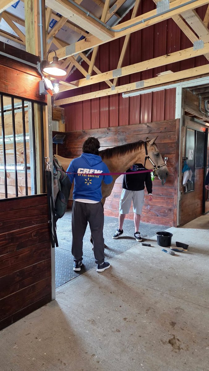 MCCoyCountyExec's tweet photo. Yesterday, my Director of the Albany County Veterans Service Bureau, Scott Leslie, participated in a Veterans equine-assisted learning program at the Albany Therapeutic Riding Center alongside staff from the Albany VA Medical Center and more than a dozen local Veterans. This program grew out of the Bureau's ongoing efforts to expand wellness opportunities for Albany County Veterans through strong partnerships with organizations like the Albany VA Medical Center and the Albany Therapeutic Riding Center.

By participating himself, Scott experienced firsthand how equine-assisted learning can foster trust, confidence, resilience, and camaraderie among Veterans in a unique and supportive environment.

I'm grateful to everyone at the Albany Therapeutic Riding Center and the Albany VA Medical Center for helping bring this initiative to life. Together, we're creating new opportunities for Veterans to connect, heal, and thrive, and Albany County remains committed to building programs that meet our Veterans where they are.