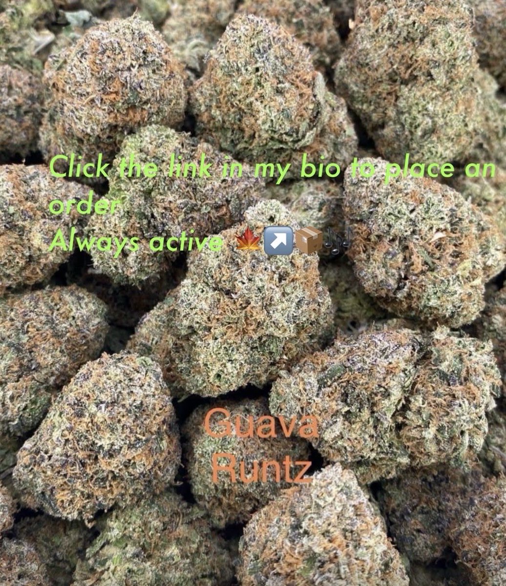 Jessalin242952's tweet photo. Y’all should get weed in Turkey 
Y’all should get weed in Istanbul 
Y’all should get weed in Ankara
Y’all should get weed in Izmir
Y’all should get weed in konya
Y’all should get weed in Bursa
Let’s keep the shit real (🍀) https://t.co/emGCY917dO